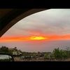hollyolson808